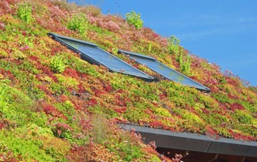 Walton Heath living roof systems